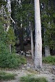 Looking up at our campfire from the shore of Snag Lake.  This is a beautiful place to camp - and free.