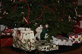 Kitty peeking out from under the tree